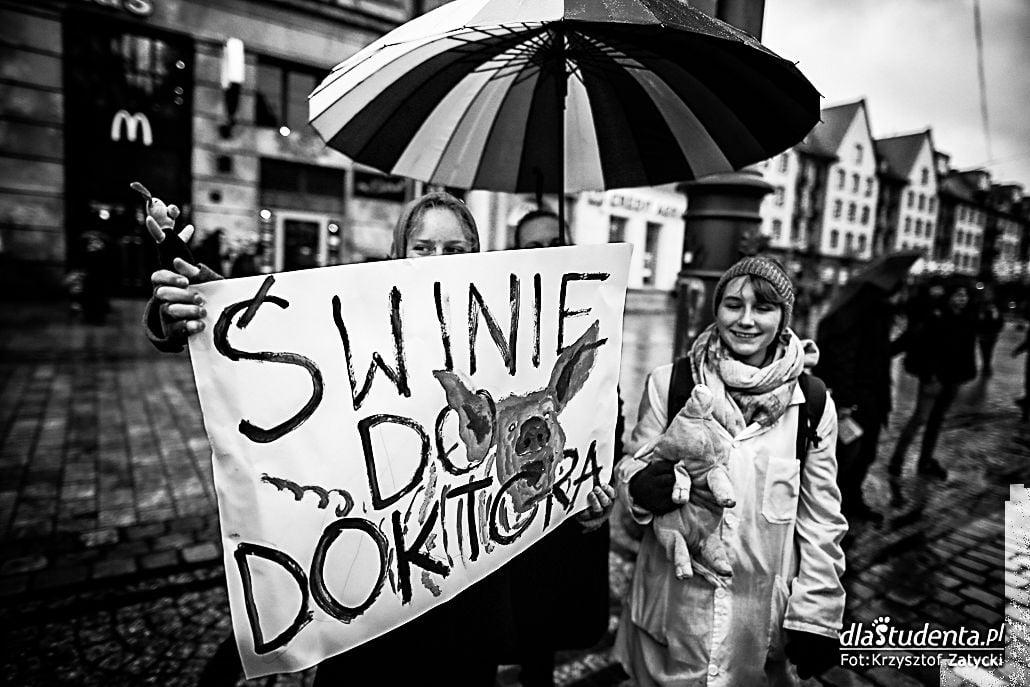 Stop rzezi dzików - protest we Wrocławiu - zdjęcie nr 6