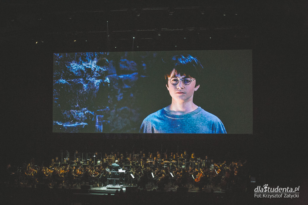 Harry Potter i Kamień Filozoficzny In Concert - zdjęcie nr 18
