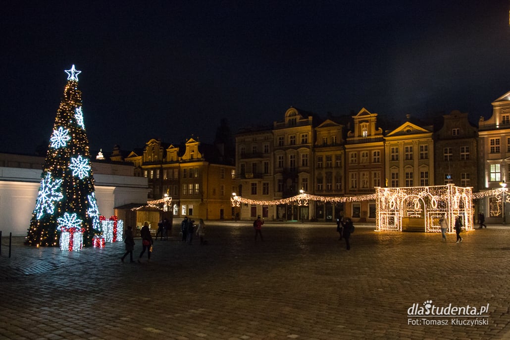 Iluminacje świąteczne w Poznaniu - zdjęcie nr 9