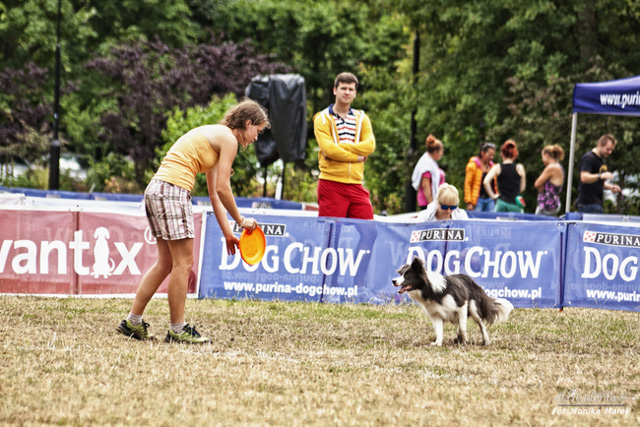 Dog Chow Disc Cup 2014 - zdjęcie nr 10