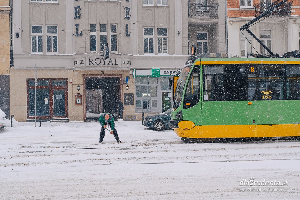 Śnieżyca w Poznaniu  - zdjęcie nr 7