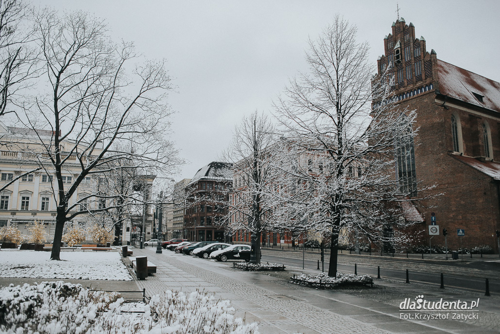 Zima zawitała do objętego kwarantanną Wrocławia - zdjęcie nr 9