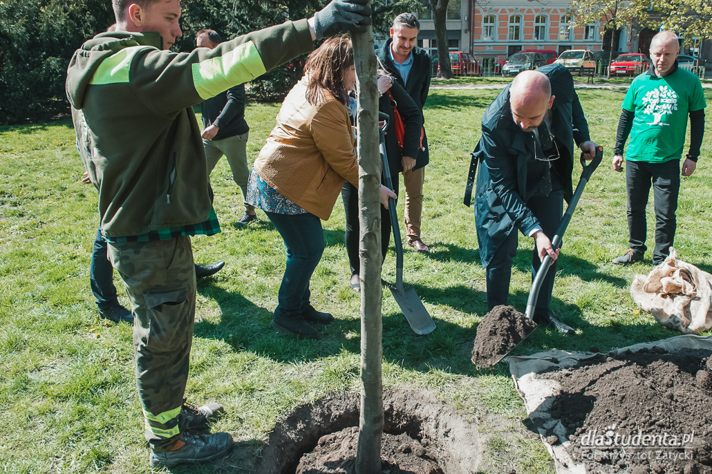 Zasadzenie drzewa dla Pawła Adamowicza we Wrocławiu - zdjęcie nr 9