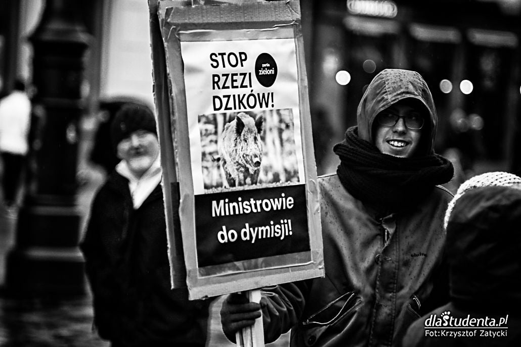 Stop rzezi dzików - protest we Wrocławiu - zdjęcie nr 7