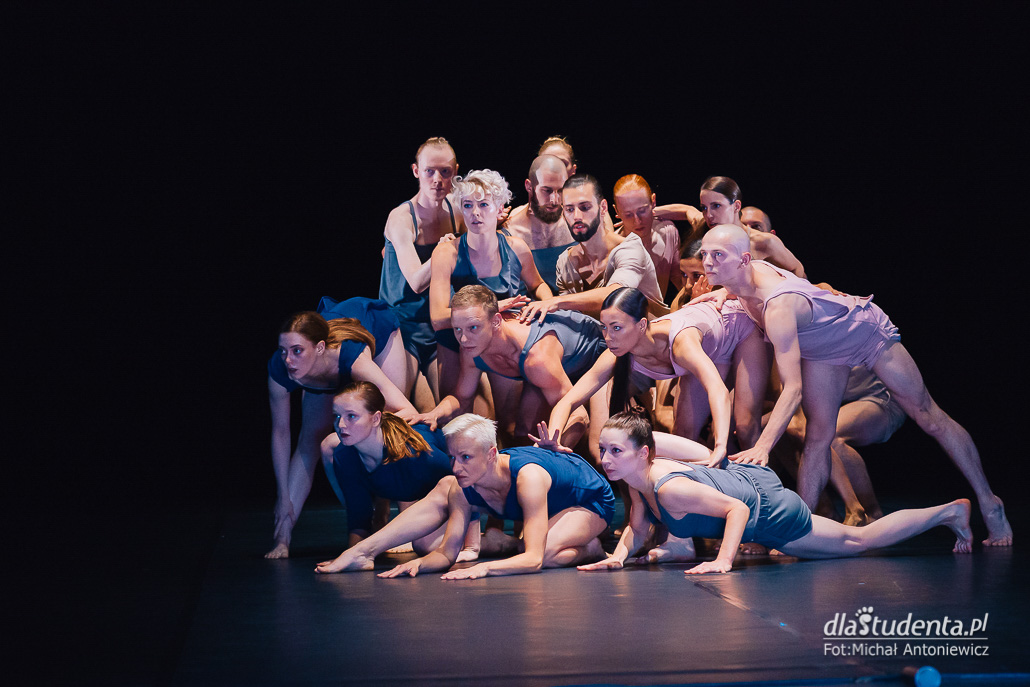 Malta Festival 2019: Jacek Przybyłowicz/Polski Teatr Tańca - zdjęcie nr 6