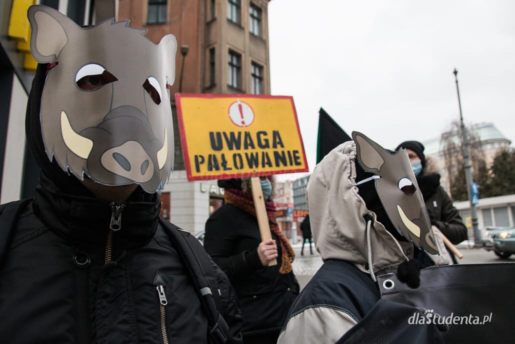 Protest w obronie dzików w Poznaniu - zdjęcie nr 6