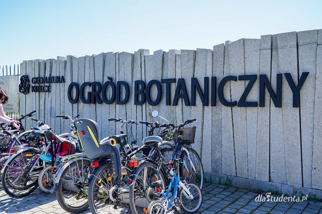 Otwarcie ogrodu botanicznego w Kielcach - zdjęcie nr 11