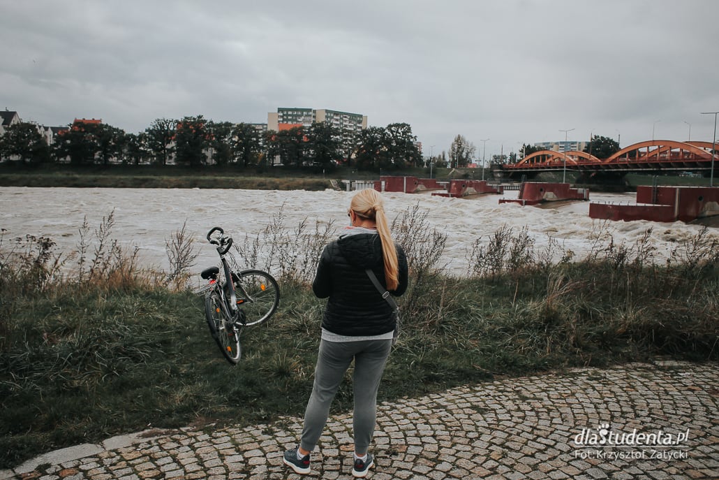 Fala powodziowa we Wrocławiu - zdjęcie nr 9