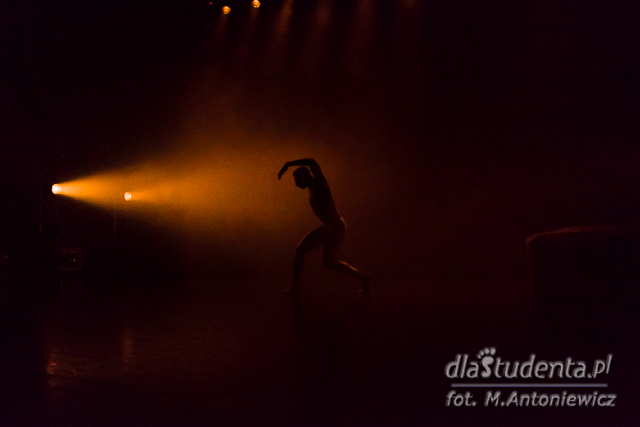 Dancing Poznań 2015 - Polski Teatr Tańca - zdjęcie nr 1