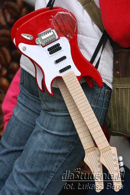 Gitarowy Rekord Guinnessa & Thanks Jimi Festival - zdjęcie nr 12