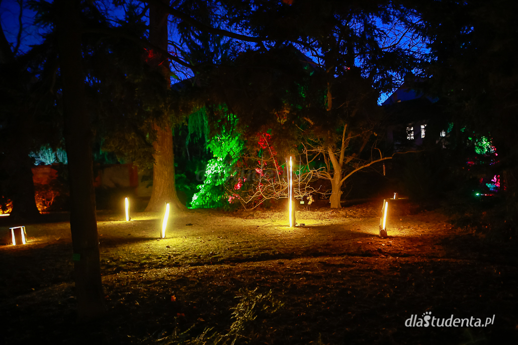 Światłogród - iluminacje w Ogrodzie Botanicznym  - zdjęcie nr 10