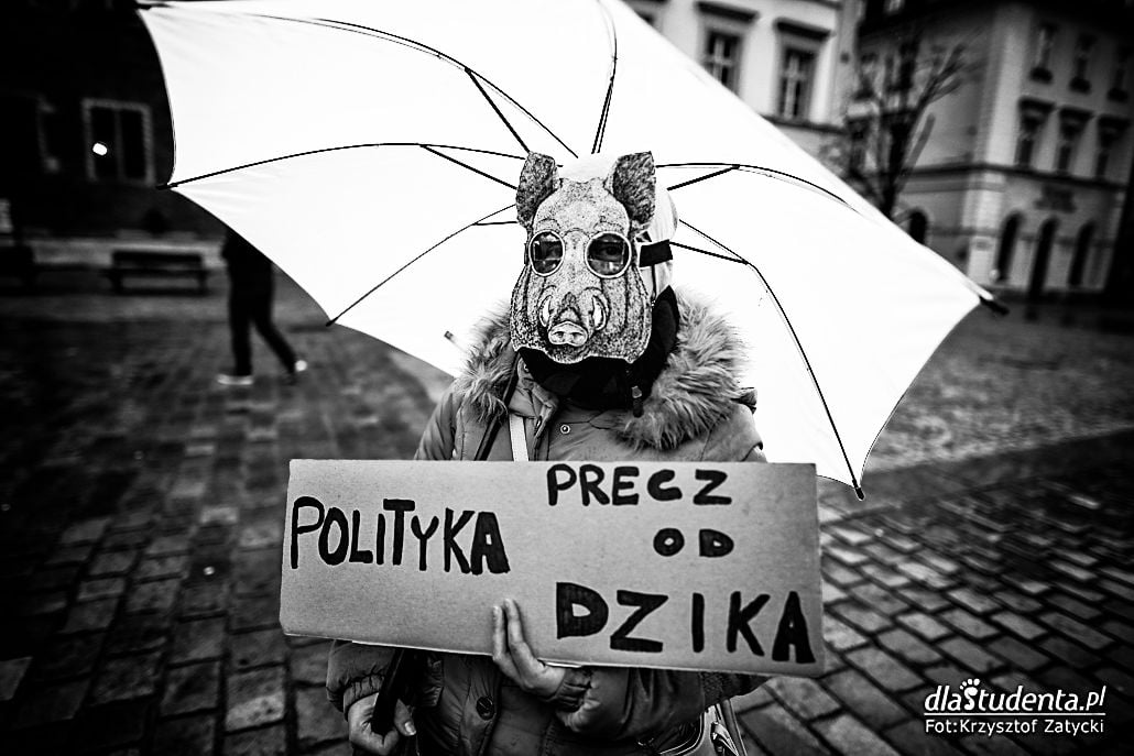 Stop rzezi dzików - protest we Wrocławiu - zdjęcie nr 2