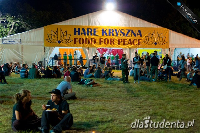 XVII Przystanek Woodstock 2011 - zdjęcie nr 10