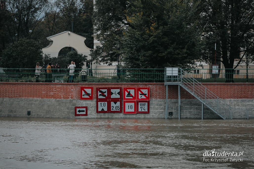 Fala powodziowa we Wrocławiu - zdjęcie nr 4