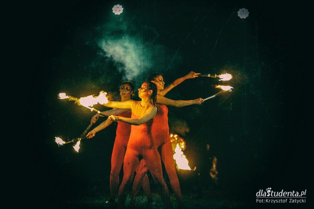 Teatr Avatar: Koncert pod Wierzbą - zdjęcie nr 14