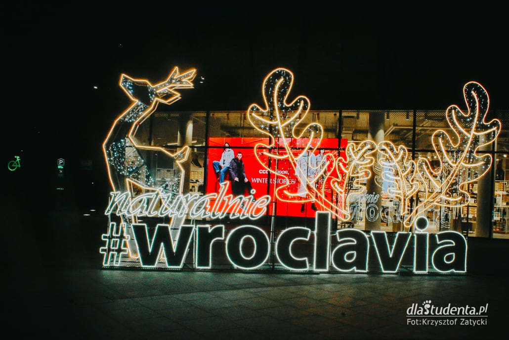 Iluminacje świąteczne we Wrocławiu - zdjęcie nr 2