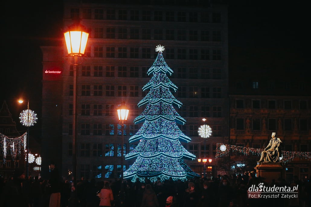 Iluminacje świąteczne we Wrocławiu - zdjęcie nr 8
