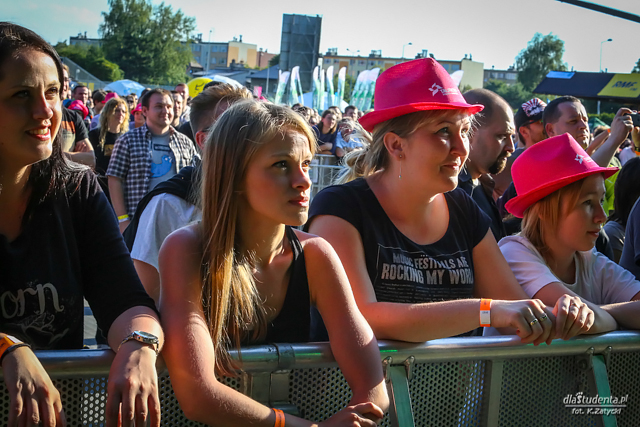 Life Festival Oświęcim 2014: Balkan Beat Box, Luxtorpeda, Coria, Soundgarden - zdjęcie nr 3
