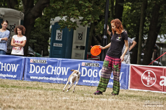 Dog Chow Disc Cup 2014 - zdjęcie nr 7