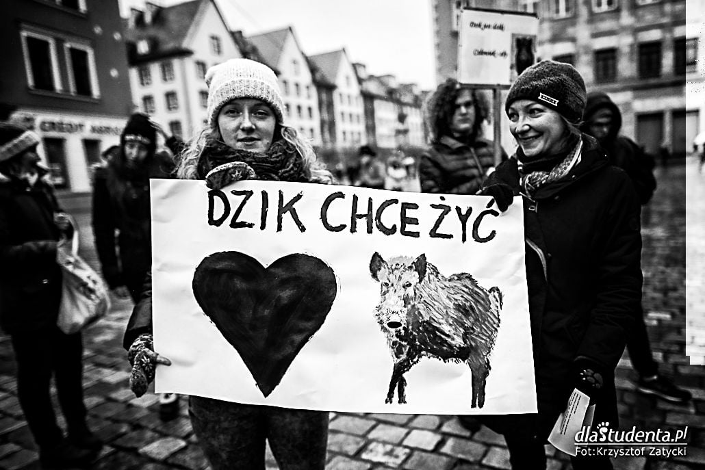 Stop rzezi dzików - protest we Wrocławiu - zdjęcie nr 4