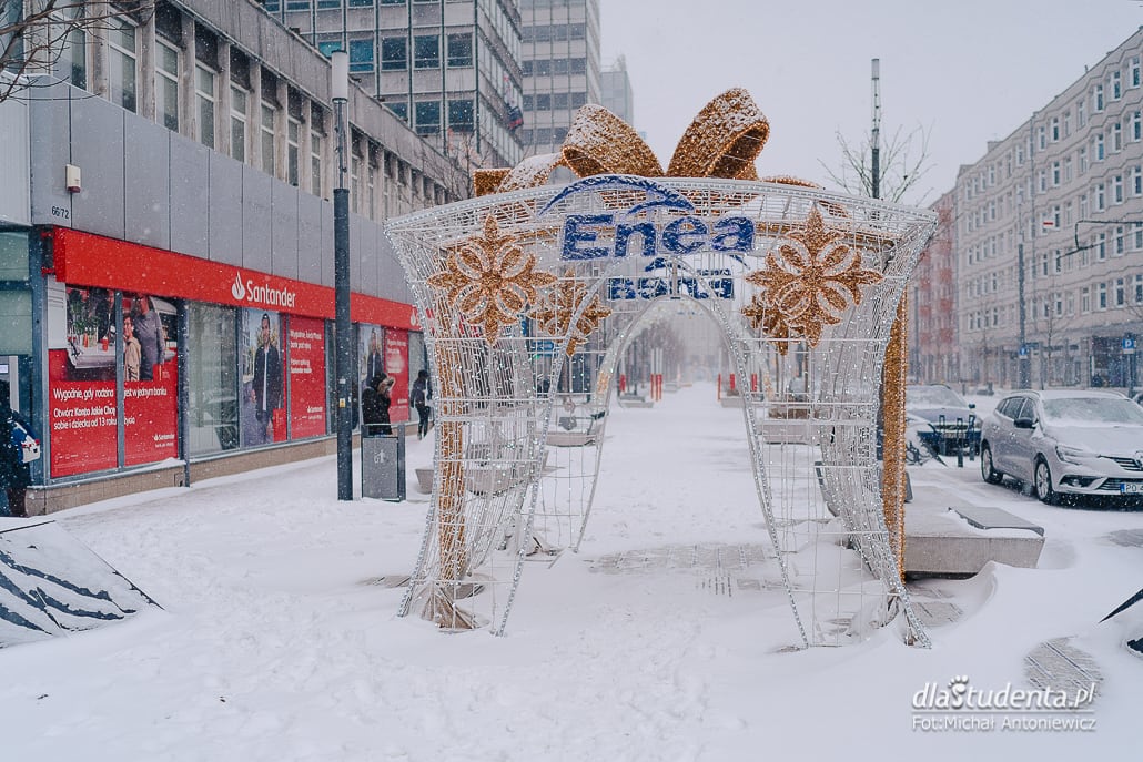 Śnieżyca w Poznaniu  - zdjęcie nr 9