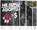 Kampania społeczna "Nie kupuj - adoptuj"