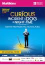Dziwny przypadek psa nocną porą z National Theatre Live 
