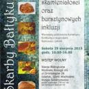 Skarby Bałtyku, wystawa i warsztaty szlifowania bursztynu