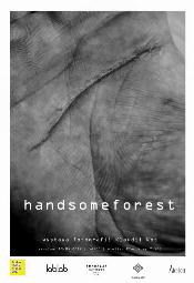 Handsomeforest - wystawa fotografii Klaudii Kot