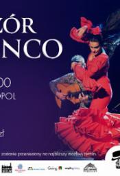 Wieczór Flamenco na dachu Hotelu Monopol