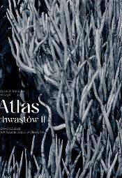 Atlas Chwastów II