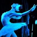 Jezioro łabędzie - Russian National Ballet