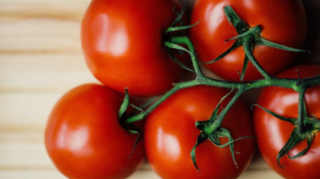 6 powodów, dlaczego należy jeść pomidory