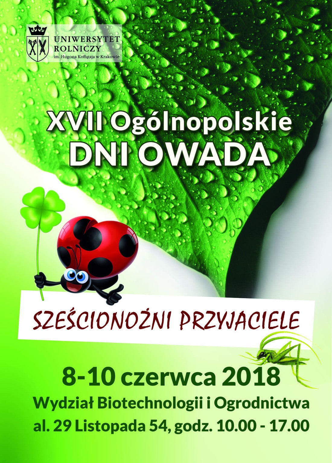 Ogólnopolskie Dni Owada odbędzie się w dniach 8-10 czerwca.