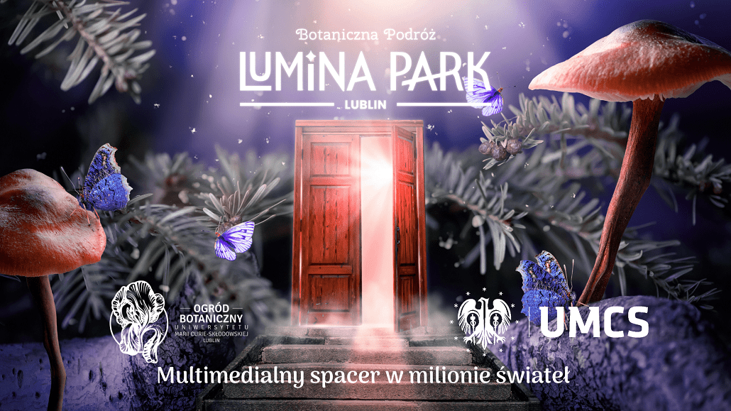 Park Iluminacji Lublin