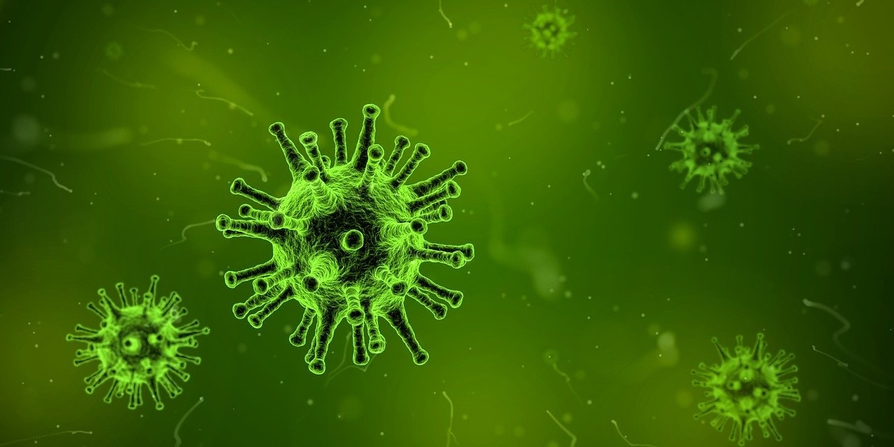 Wizualizacja bakterii wirusa drobnoustroju, ziele