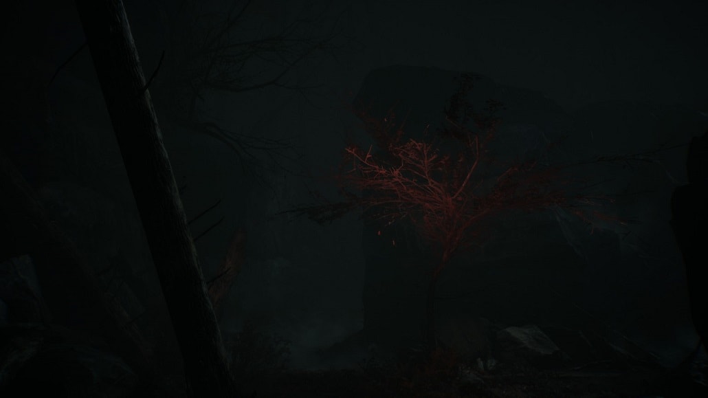 Screen z gry Blair WItch. Czerwone drzewo. Red Tree.