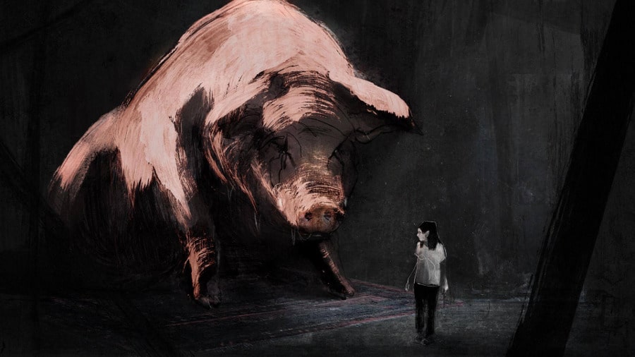 Letter to a pig, reż. Tal Kantor