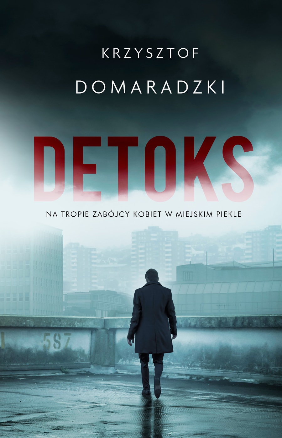 Detoks - książka