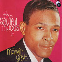 The Soulful Moods of Marin Gaye