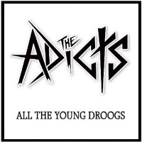 All the Young Droogs