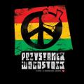 Przystanek Woodstock 2013 - program - przystanek woodstock 2013 program harmonogram imprezy kto zagra o której występy wykonawcy
