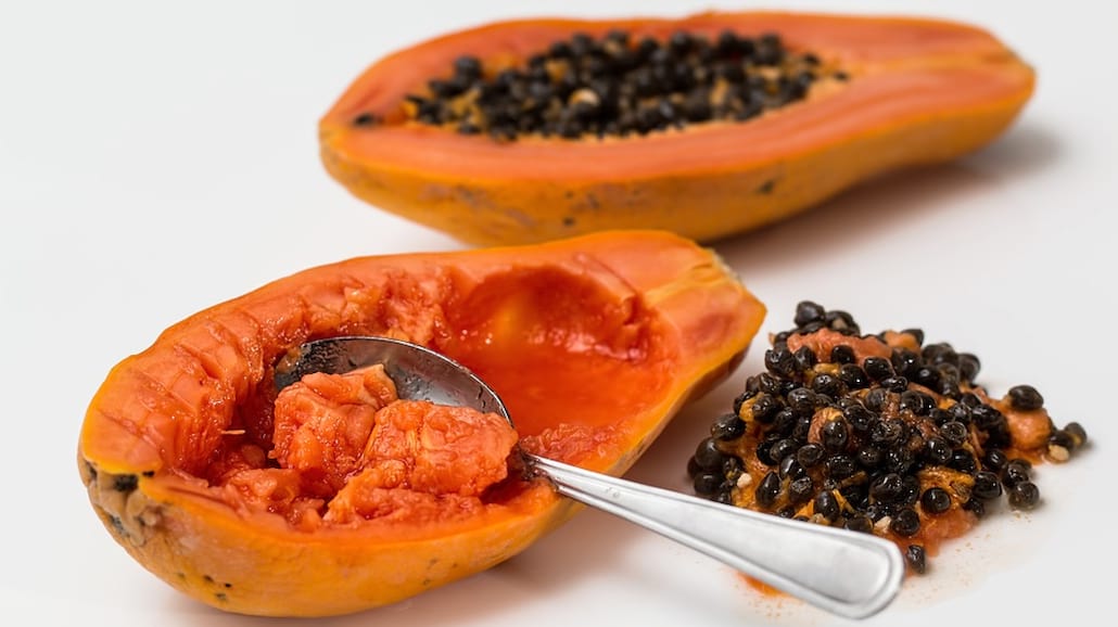 Cudowny owoc z niezwykłymi własciwościami - oto papaja!