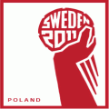 Polska - Szwecja 21:24 - mecz spotkanie wynik mś szwecja 2011 piłka ręczna