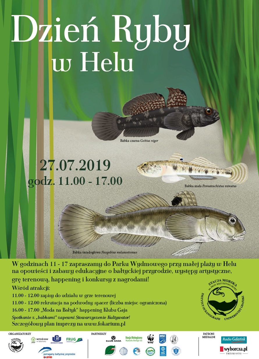 Dzień ryby 2019 plakat