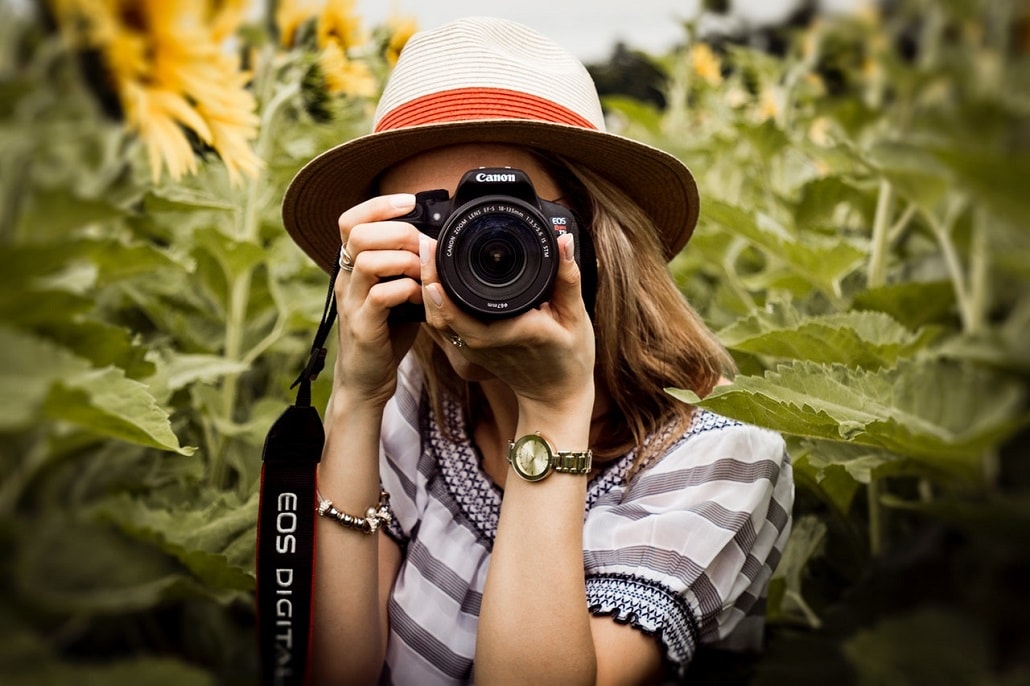 Dziewczyna schowana za aparate, pole słoneczników, głębia ostrości