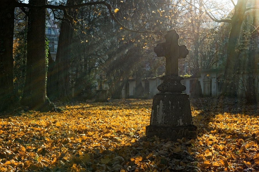 Cmentarz jesienią