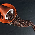 CAREERDATE - wypij kawę z pracodawcą na UKSW