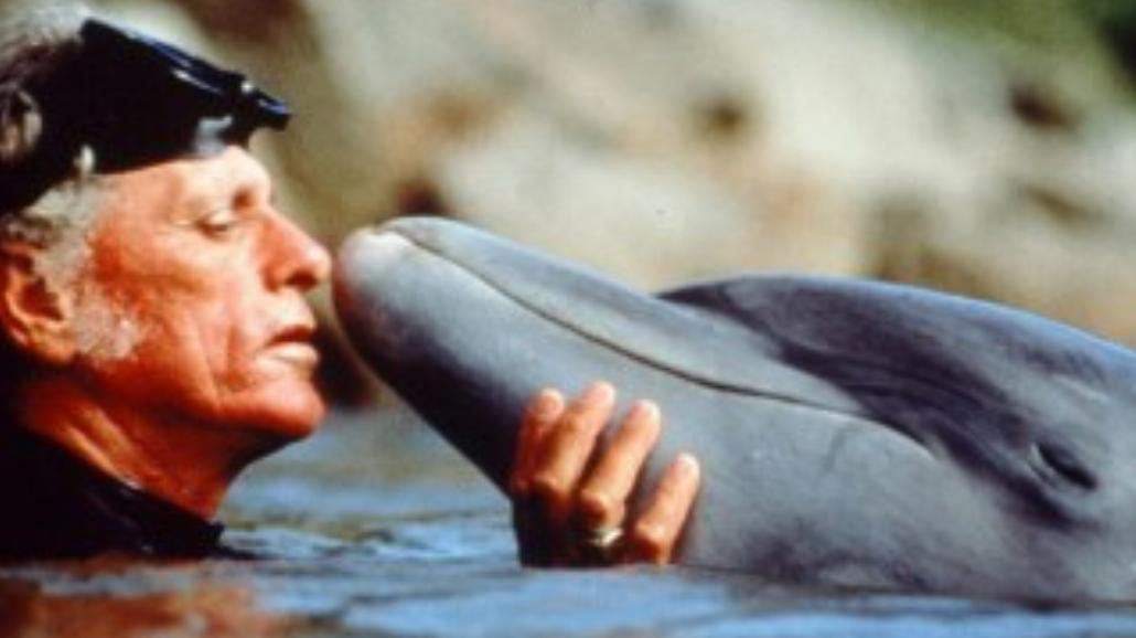 LAF: Delfin w Taiji ma ciężkie życie