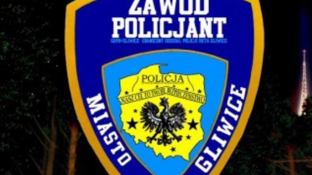 Casting do filmu "Zawód Policjant"